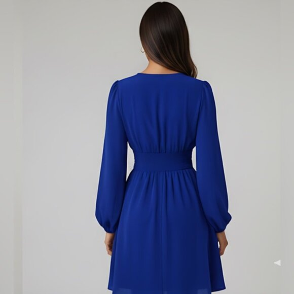 Lantern Sleeve Ruched Waist Dress Blue - Picture 5 of 10